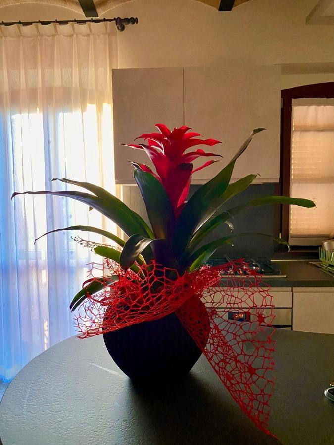 B&B Terrazza Sul Borgo 莫利亚诺 外观 照片